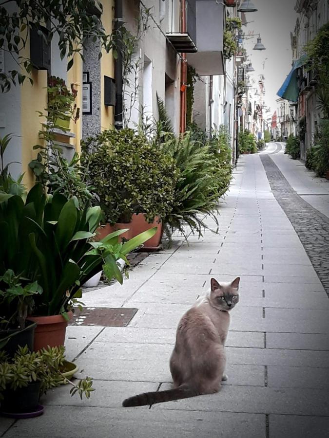 Via San Giacomo 10 กาญารี ภายนอก รูปภาพ